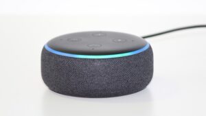 Vierbeinige Alexa