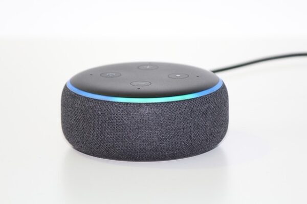 Vierbeinige Alexa