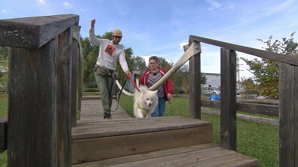 Therapiehundeteam überquert eine Hängebrücke
