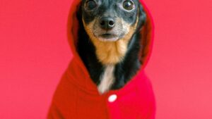 Komm, wir trauen uns!