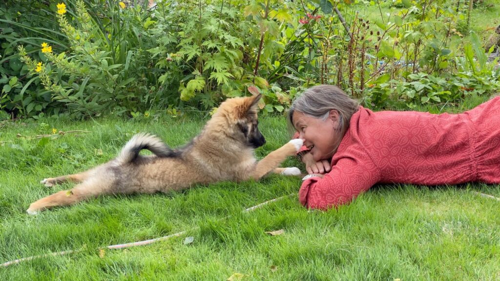 „Nose Work-Teams“ – Wochenende mit Anne Lill Kvam (Kurssprache Englisch)